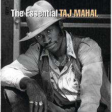 Taj Mahal : The Essential Taj Mahal